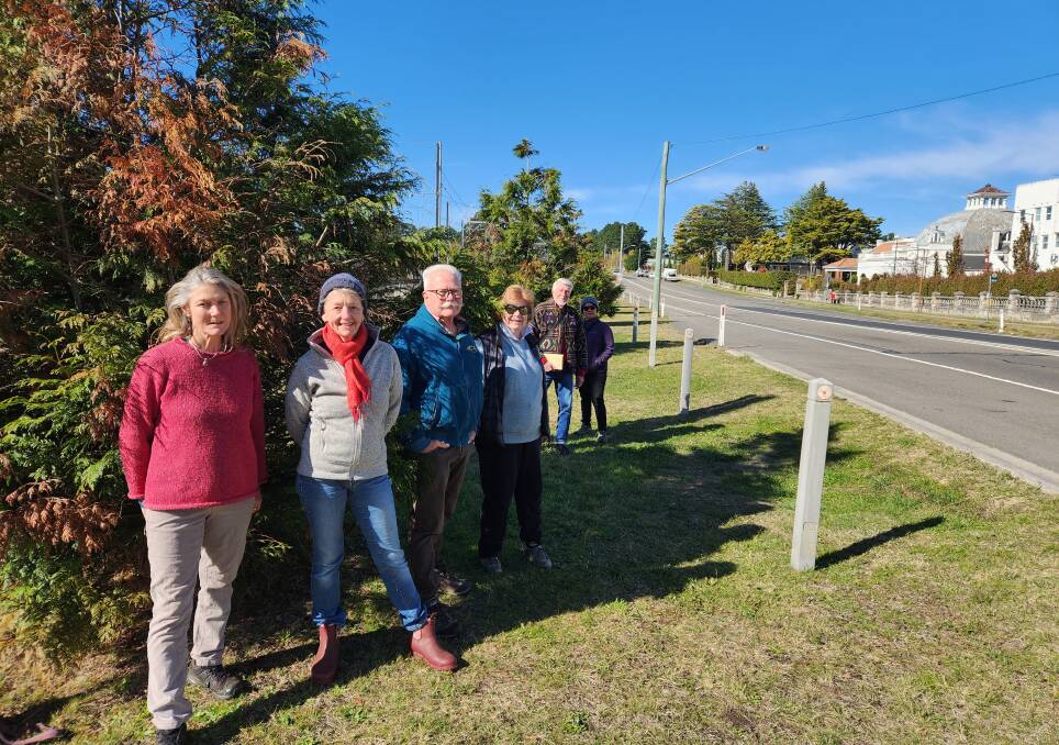 Residents Catherine Vaubell, Deb and Russell Brown, Carol Prior, Shane Porteous and Carlene Martin at Medlow Bath before the trees came down. 