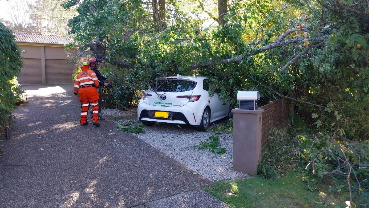 Tree on a car in Wentworth Falls. Picture SES Blue Mountains Unit