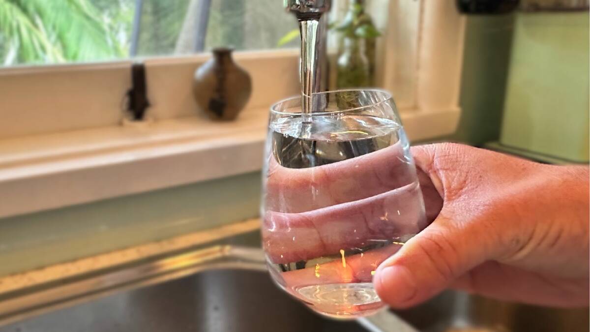 Drinking water in the Illawarra is safe and reliable, according the NSW Health Minister Ryan Park and the state's chief health officer Dr Kerry Chant. 