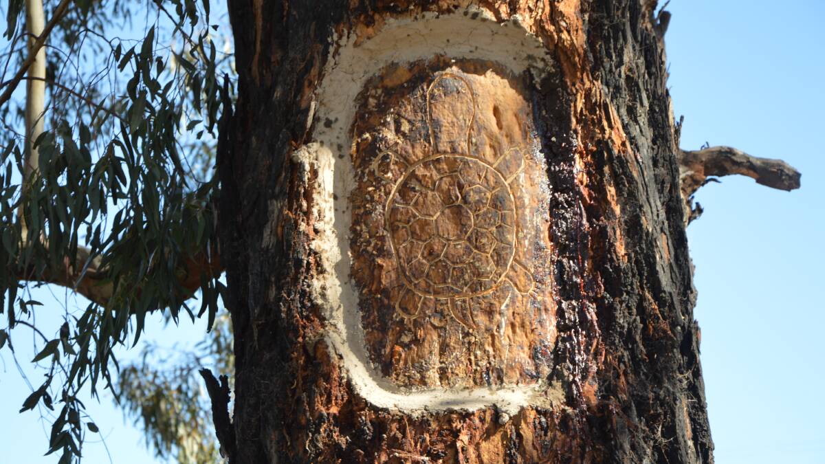 where is scar tree hold eternium